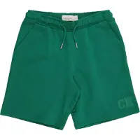 Calvin Klein Shorts , Jungen, Gr. 16 (176), N-Gr, grün (lush meadow), Web, Obermaterial: 100% Baumwolle, unifarben, regular fit kurz, Hosen Shorts, Regular fit mit elastischem Bund für Kinder