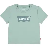 Levi's T-Shirt KIDS "BATWING TEE", Jungen, Gr. 6M68, cameo grün, Single Jersey, Obermaterial: 100% Baumwolle, bedruckt, Basic schmal hüftlang, Rundhals, gerader Abschluss, Shirts T-Shirt, Baby UNISEX