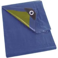 Kippers Rijssen 438340