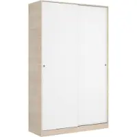 Dmora Kleiderschrank Dcapuan, Garderobe für Schlafzimmer, Kleiderschrank mit 2 Schiebetüren, 120x50h204 cm, Weiß und Eiche