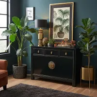 OPIUM OUTLET Chinesische Kommode Asia Sideboard orientalischer Schrank asiatische Vintage Möbel Anrichte Hochzeitsschrank komplett montiert schwarz