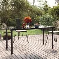 The Living Store Garten-Esstisch Schwarz 160x80x74 cm Stahl und Hartglas
