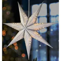 Ed Brubaker 3D Weihnachtsstern zum Aufhängen - Fenster Papierstern mit E14 Fassung - 60 cm Deko Muster Adventsstern, Silber
