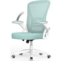 Bigzzia Bürostuhl – Ergonomischer Sitz – Sessel mit 90° klappbarer Armlehne – Lordosenstütze – höhenverstellbar - Grün