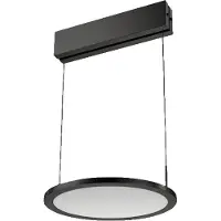Sonstiges Plate 1R LED, Pendelleuchte, schwarz matt