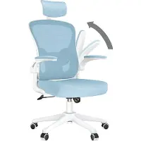 Bigzzia Bürostuhl ergonomisch X23F00K092, blau/weiß