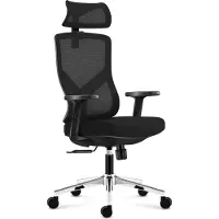 Adler Manager 3.3 | Ergonomischer Bürostuhl Drehsessel | 130 kg belastbar | Verstellbare Armlehnen Rückenlehne Kopfstütze | Stoff | Schwarz