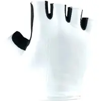 Bioracer Road Summer Kurze Handschuhe