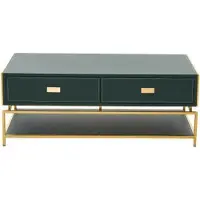 AEA Wohnzimmer Couchtisch Luxus Design Stil Modern Couchtische Holz Grün