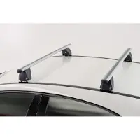 Menabo Delta Silver Dachträger für Fiat Doblo II, Modell 2015+