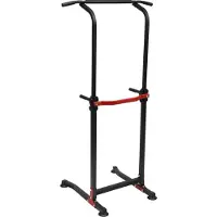 StarTech.com Höhenverstellbare Trainingsstation - Dipsstation mit Klimmzugstange - Freistehend - Höhe 165–210 cm, 10 Stufen - Belastbar bis 150 kg - Für Klimmzüge, Dips, Beinheben - Schwarz