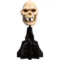 Weta Workshop WETA861304356 - Herr der Ringe Mini Statue Skull of Lurtz 14 cm - Neu