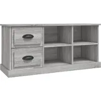 Syfax TV-Schrank Grau Sonoma 102x35,5x47,5 cm Holzwerkstoff