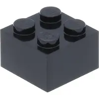 LEGO 50 Stück , Teil Nr. 3003 in Schwarz (Black)