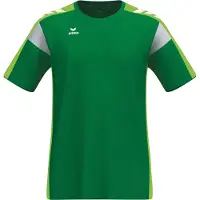 Erima Herren T-Shirt CELEBRATE 125 T-Shirt function 1082503 XL - Smaragd/Green Gecko - XL