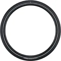Schwalbe Starrer Reifen Motion Big Apple Hs632 Raceguard Addix 50-254