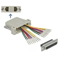 DeLOCK D-Sub 25 Pin Crimp Buchse zu 2 x RJ45 Buchse mit Montagesatz beige, D-Sub 25pin, 2x RJ-45, Beige