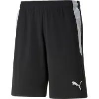 Puma Teamliga Referee Shorts black-white (03) S