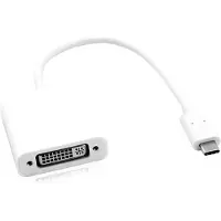 Roline Display Adapter USB Typ C - DVI