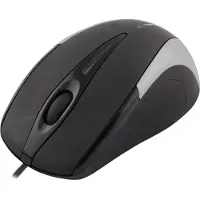 Esperanza EM102S, Optisch, USB Typ-A, 800 DPI, Schwarz, Silber