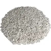 LEGO 50 Stück Fliesen 1x2, Weiß