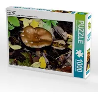 CALVENDO Ein Motiv aus dem Kalender Pilze, Pilze 1000 Teile Puzzle quer 640x480mm, Oechsner Richard; 7332618