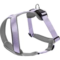 Hunter Geschirr Neopren, Farbe:lavendel/grau, Größen:M/2