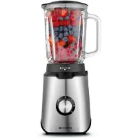 Champion Mixer 1,5 l 600 W Glaskrug BL310 Edelstahl