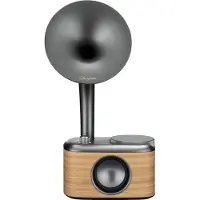 Sangean CP-100D, Tragbar, Digital, DAB+, FM, 4 Ohm, 5,08 cm (2"), Schwarz, Gold