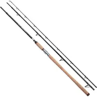 Shimano Fishing Speedmaster Salmon Bootsrute