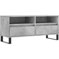 Syfax TV-Schrank Betongrau 100x34,5x44,5 cm Holzwerkstoff