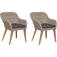 Syfax Gartenstühle mit Polstern 2 Stk. Poly Rattan Braun