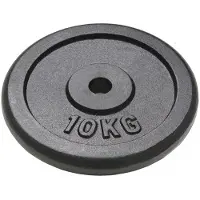 vidaXL Hantelscheiben 2 Stk. 2x10 kg Gusseisen