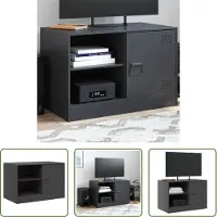 The Living Store TV-Schrank Schwarz 67x39x44 cm Stahl