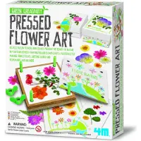 4M Grüne Kreativität/gepresste Blumen Kunst