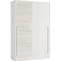 Dmora Garderobe Dcelesi, Schlafzimmer Kleiderschrank mit 2 Schiebetüren, Schrank mit Kleiderstange und 3 Einlegeböden, 120x50h200 cm, AltWeiß