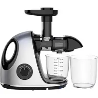 Klausberg Slow Juicer 150W für Obst und Gemüse KALTPRESSE KB-7863