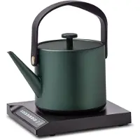 Unold 18217 BLITZKOCHER Jade, 0,6 l, 800 W, Grün, Kunststoff, Edelstahl, Regelbare Temperatur, Wasserstandsanzeige