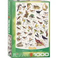 Empireposter Die Welt der Vögel - 1000 Teile Puzzle im Format 68x48 cm