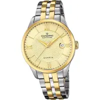 Candino Herren Uhr Analog Casual Edelstahl Armbanduhr Classic silber gold D2UC4706/A