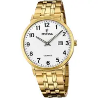 Festina Edelstahl Elegant Herren Uhr F20513/1 Armband-Uhr gold Klassik D2UF20513/1