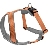Hunter Geschirr Neopren, Farbe:kupfer/grau, Größen:M/2