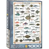 Empireposter 1000 Teile Puzzle Seefische Meeresfische