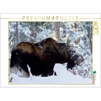 CALVENDO Puzzle, "Weiße Schnauze" | 1000 Teile, fertige Größe: 64 x 48 cm | Fotopuzzle für entspannte Stunden