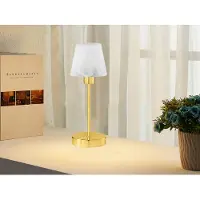 Meine Wunschleuchte LED Tischleuchte mit Touch Dimmer Messing glänzend & Glaslampenschirm, Höhe 32cm