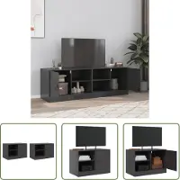 The Living Store TV-Schränke 2 Stk. Schwarz 67x39x44 cm Stahl