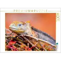 CALVENDO Puzzle Landleguan | 1000 Teile Lege-Größe 64 × 48 cm Foto-Puzzle für glückliche Stunden