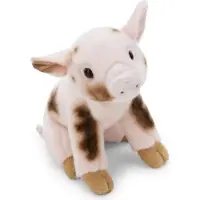 Nici Schwein Teddybär 20 Cm Beige Kinder Beige One Size