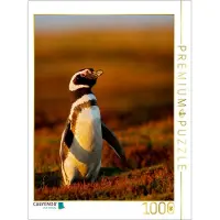 CALVENDO 4059478794672, 1000 Stück(e), andere, 14 Jahr(e)