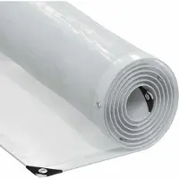 Syfax Transparente Plane mit Ösen 2x4 m Polyethylen